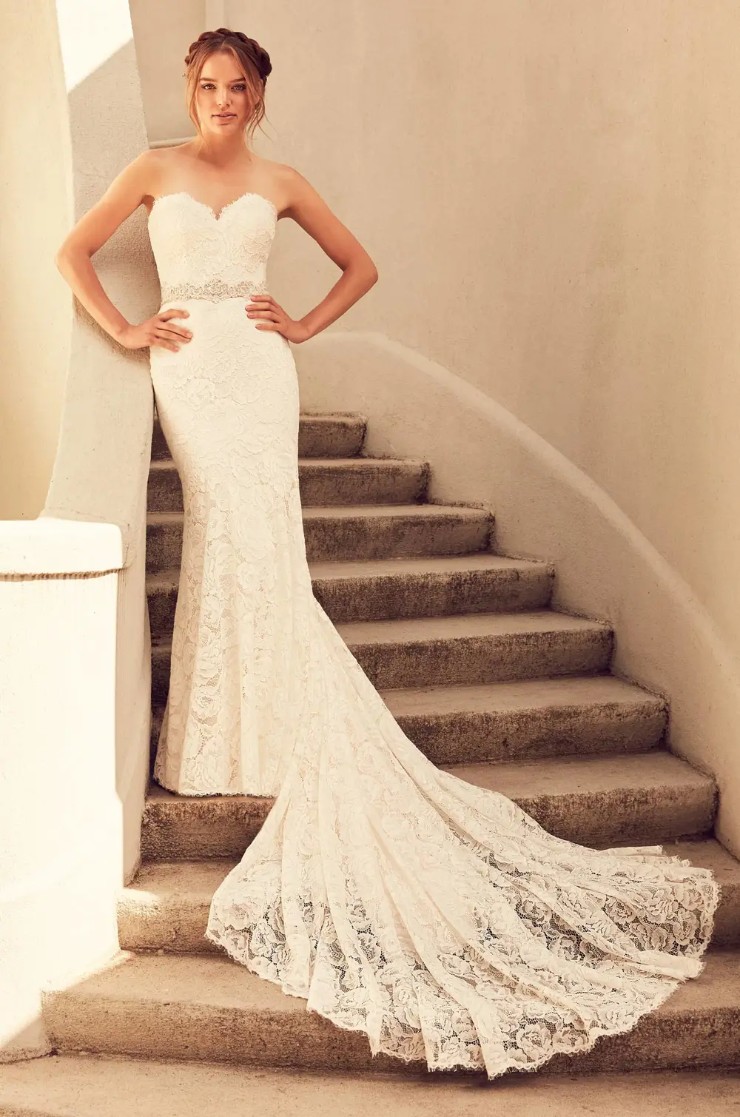 Paloma clearance blanca 4798