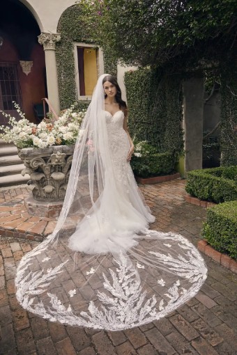 Casablanca Bridal Style No. Sylvie #5 Champagne/Nude/Ivory thumbnail
